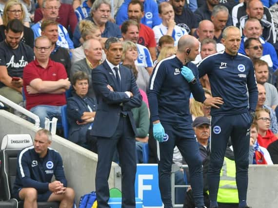 Chris Hughton on the sidelines at The Amex on Sunday. Picture by PW Sporting Photography
