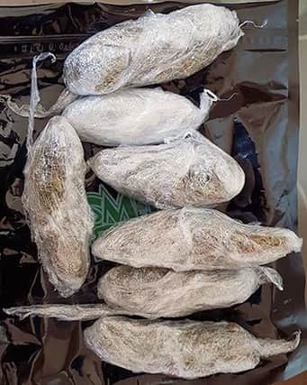 Cannabis was seized from the Brighton property (Photograph: Sussex Police)