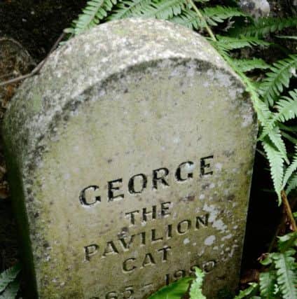 George the Pavilion cat is buried in the pet cemetery at Preston Manor (Credit: Lucy Sharpe)