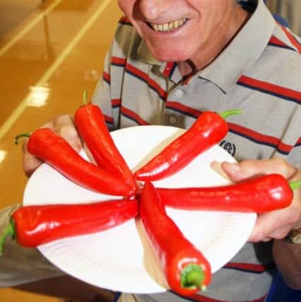 Peter Hannam won first prize for his chillies. Picture: Derek Martin DM1890594a