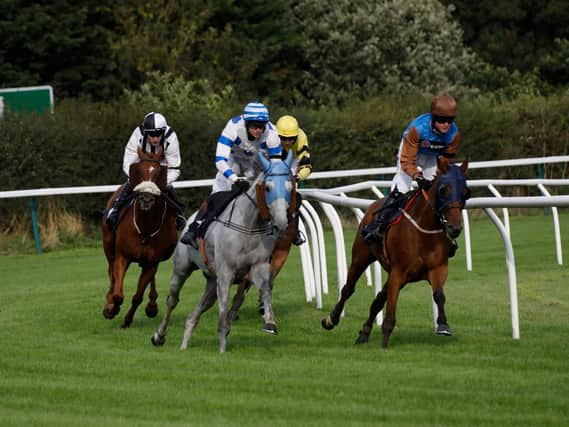 Race 2 of Ladies Night at Fontwell. Picture by Clive Bennett