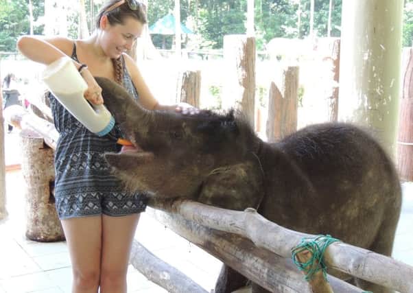 Emma Hookham with baby elephant Elly SUS-180829-144923001