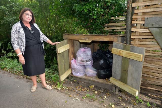 Susan Wood with rubbish, Pannel Lane, Winchelsea. SUS-180409-145041001