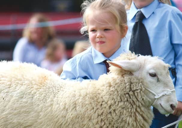 The ever popular lamb handling session.