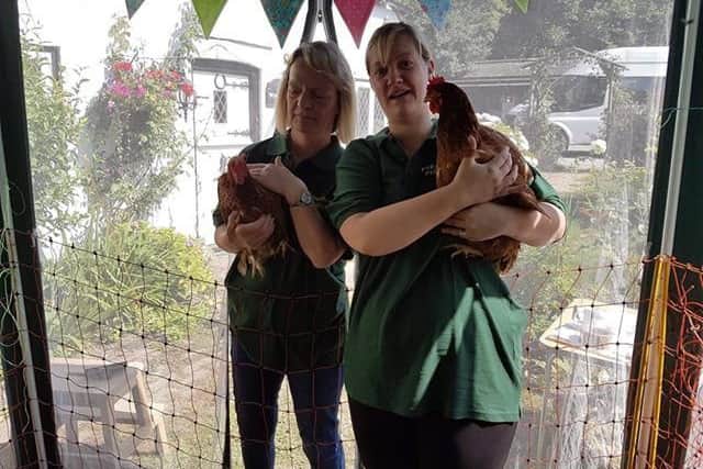 Volunteers from FSFH with happy chickens