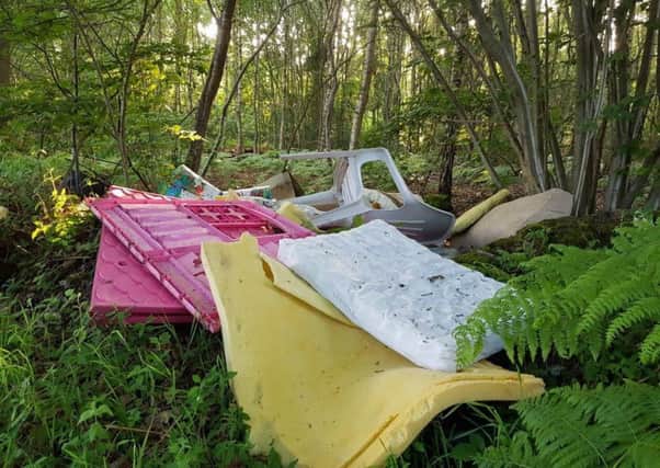 An example of some of the fly-tipping in Three Oaks. Picture: Ross Lewis