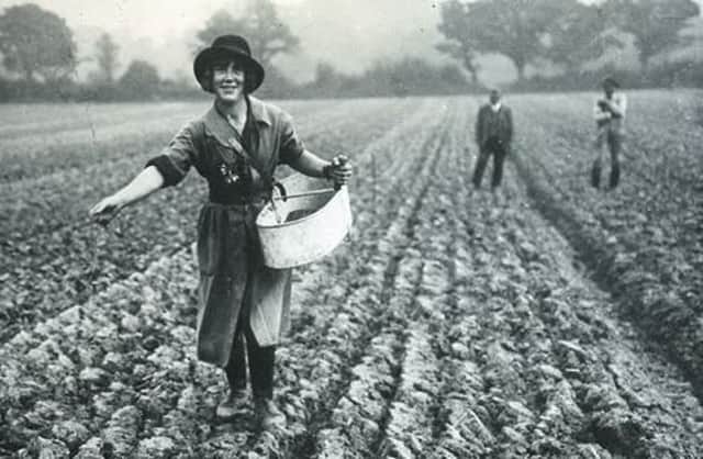 A young member of the Women's Land Army sowing c1918
