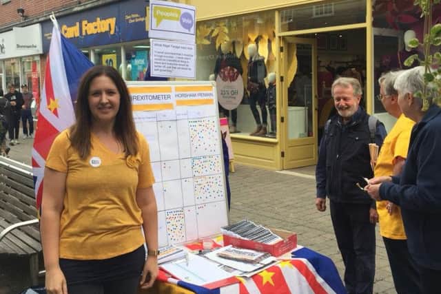 Louise Potter, from the Horsham Lib Dems, with the Brexitometer