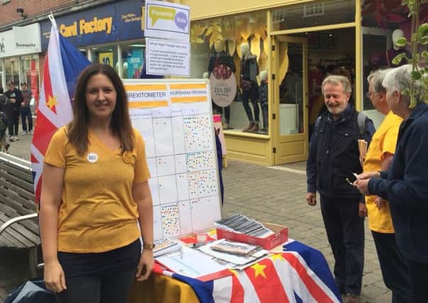 Louise Potter, from the Horsham Lib Dems, with the Brexitometer