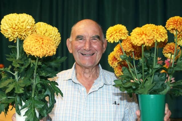 DM1892107a.jpg Goring Gardening Society autumn show. Ron Sullivan 1st Chrysanthemums. Photo by Derek Martin Photography