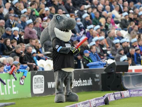 Can Sid the Shark perform on the big occasion? Picture by Phil Westlake
