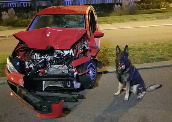 PD Vinnie with the wrecked car. Picture: Sussex Police
