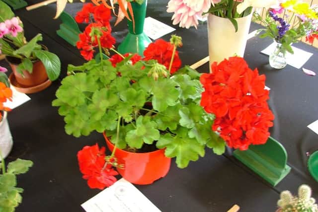 Crowhurst and District Horticultural Society's Autumn Flower Show 2018 SUS-180917-151220001