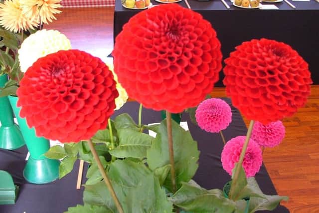 Crowhurst and District Horticultural Society's Autumn Flower Show 2018 SUS-180917-151157001