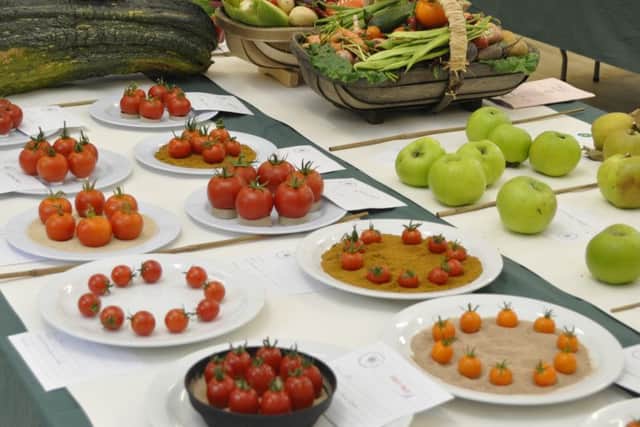 Produce at Chailey Horticultural Society's autumn show SUS-180919-140839001