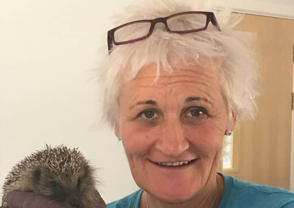 Wadars animal rescue officer Elaine Sinclair with a hedgehog