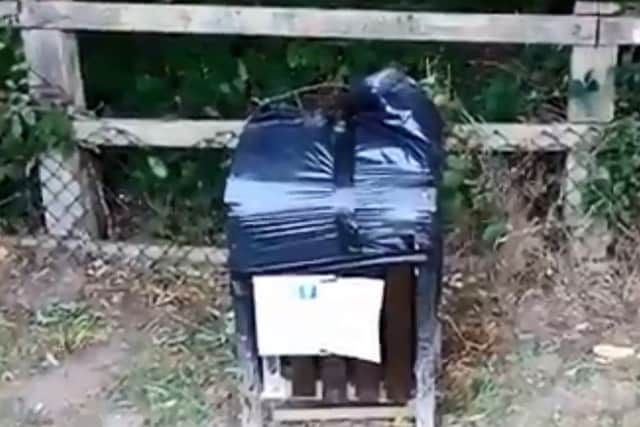The bins have been sealed off in Horsham Park due to a 'rat problem'