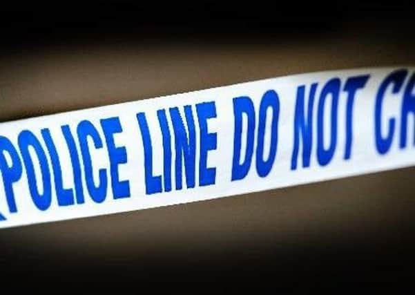 Surrey Police is seeking the driver of a white van in connection with the collision near Horley