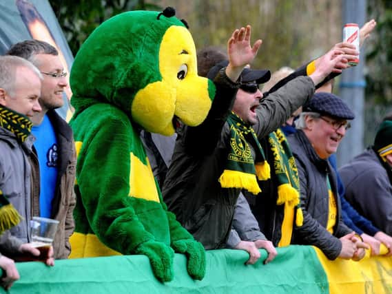 Horsham mascot Howie the Hornet. SR1610956. Picture by Steve Robards