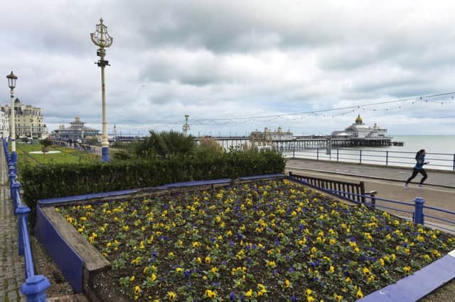 Carpet gardens on Eastbourne seafront (Photo by Jon Rigby)