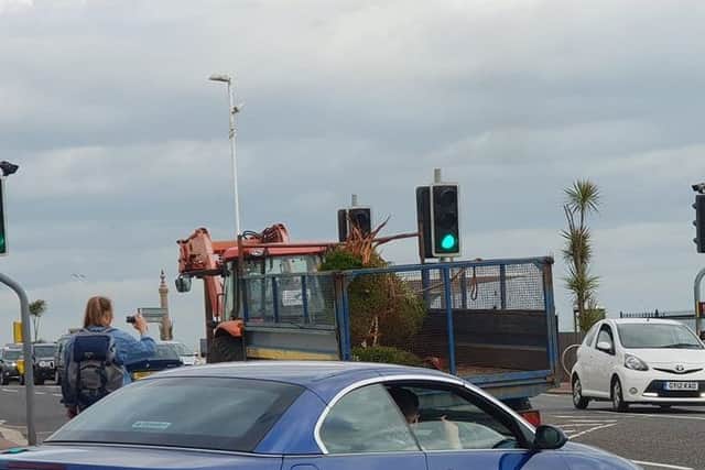 The St Leonards dragon has now been removed. Picture: James Rendle