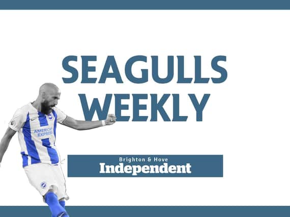 Seagulls Weekly