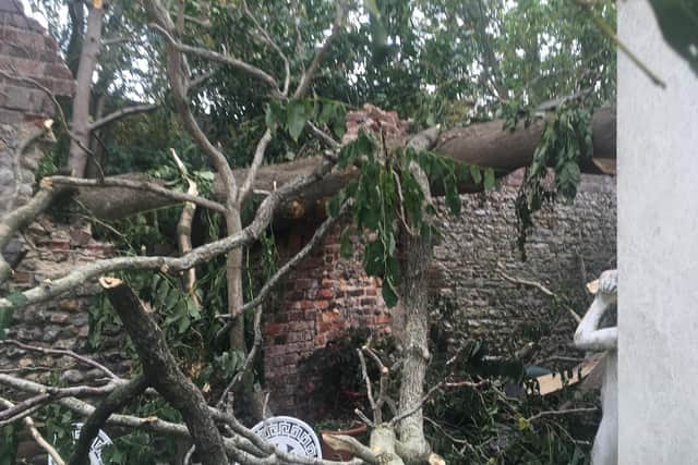 Damage to the garden wall and the branch
