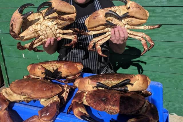 Simon Finch with the large crabs, including the monster specimen