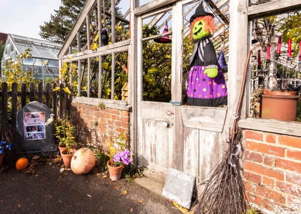 Haunted greenhouse -Halloween Treasure Hunt at Borde Hill Gardens. photo Â©Julia Claxton