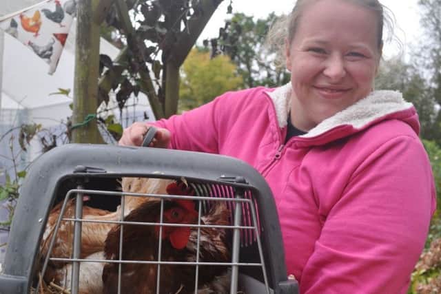 Fresh Start for Hens rehoming day in Hailsham