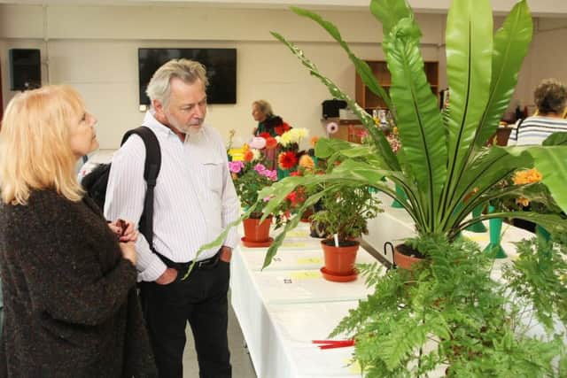 Visitors Chris Gunter and Colin McMann admire the best in show fern at Shoreham Horticultural and Allotment Society's autumn show. Picture: Derek Martin DM18101888a