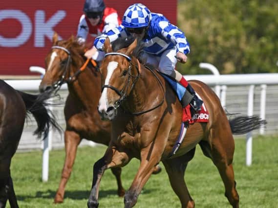 Soto Sizzler wins at Glorious Goodwood - and may return for Sunday's season finale / Picture by Malcolm Wells