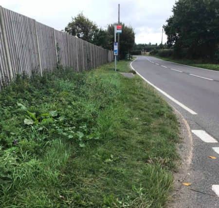 Grass verge at Horsemere Green lane. Picture contributed SUS-181210-142117001