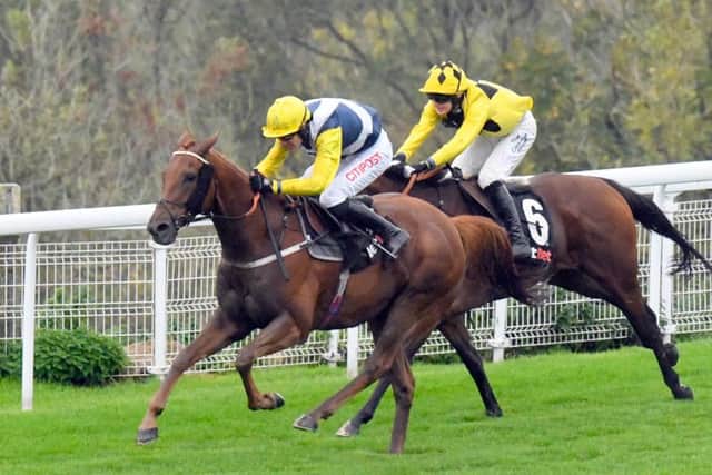 Jam Session gets the better of Orin Swift in the opener / Picture by Malcolm Wells