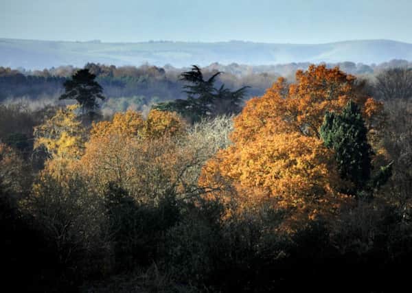 Autumn colours in Sussex