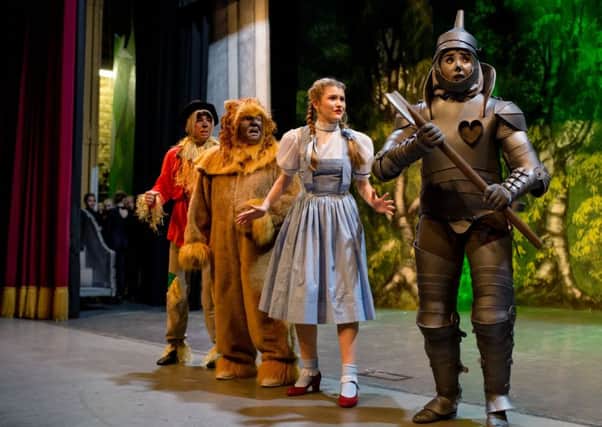 Hastleons in Wizard Of Oz SUS-181016-101302001