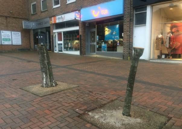 Two of the felled trees in Church Walk, Burgess Hill
