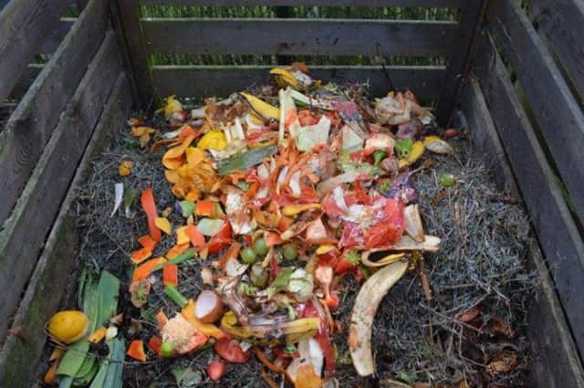 Early winter is the peak time for composting