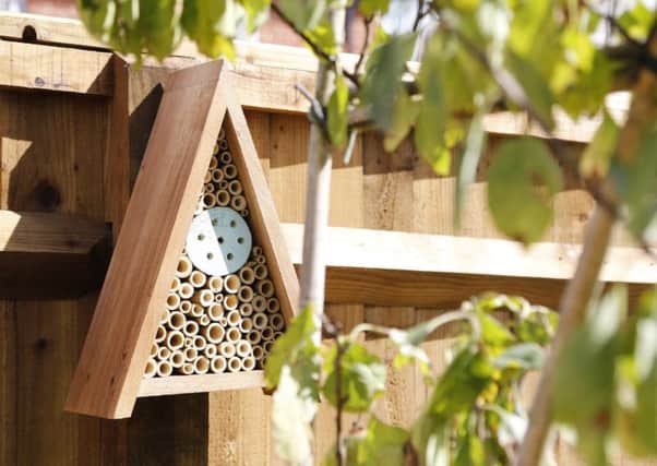 David Wilson Homes has installed bee houses throughout its developments, including at Rosewood Park in Bexhill, to attract solitary bees