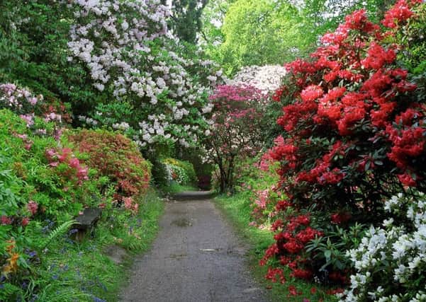 Leonardslee Gardens, pictured in their spring glory