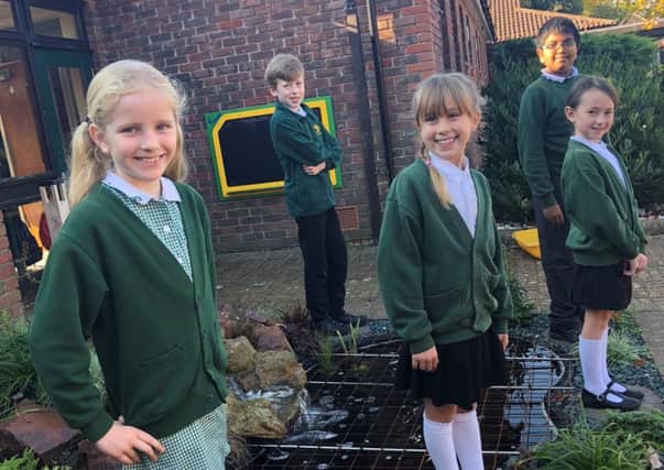 Some of the students admiring their new garden and pond