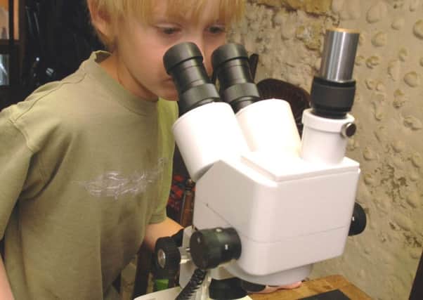 Investigate your finds at the Marlipins Museum's children's archaeology day. Picture: Gerald Thompson S29312P10