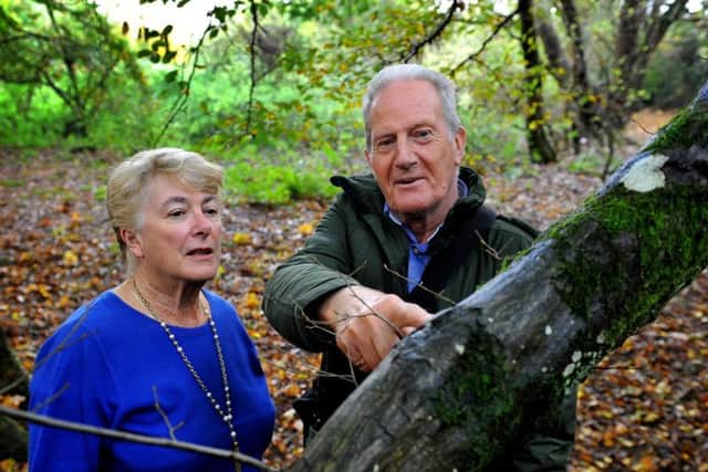 Pru Moore, leader of Burgess Hill District Council, and Dominic Moore, chairman of Burgess Hill Green Circle Network, near to where one of the traps was discovered. Photo by Steve Robards