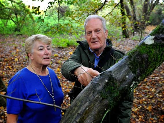 Pru Moore, leader of Burgess Hill District Council, and Dominic Moore, chairman of Burgess Hill Green Circle Network, near to where one of the traps was discovered. Photo by Steve Robards
