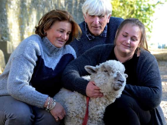 Left to right: Etta Wyatt, Keith Manning, and Heidi Blannin with Boris the sheep. Picture: Kate Shemilt