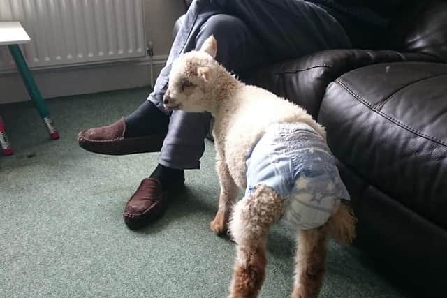 A younger Boris in his nappy at the care home Heidi works at