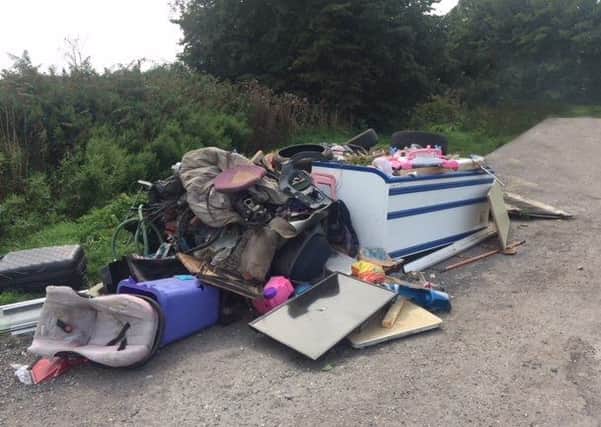 Fly-tipping needs to be stopped before fortnightly collections begin