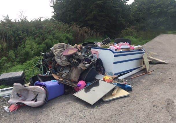 Fly-tipping needs to be stopped before fortnightly collections begin