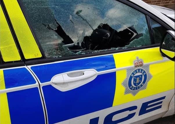 PC Elliott, based on Eastbourne, said a ball bearing was fired at the police car in Hailsham