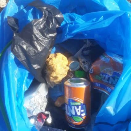 Litter items included drink cans, bottle tops, nylon rope and numerous small pieces of plastic